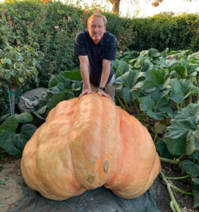 Learning about big pumpkins
