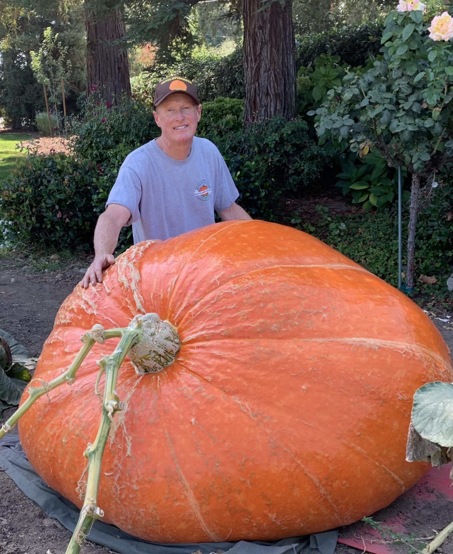 Hue the giant pumpkin.